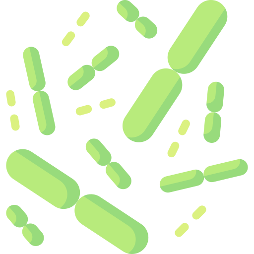 Fat Degrading Bacteria